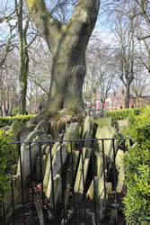 Tombstones stacked around the Hardy Tree in Old St Pancras Church London