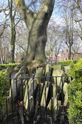 Tombstones stacked around the Hardy Tree in Old St Pancras Church London