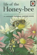The Ladybird book Life of the hone-bee. Great digestible information. Currently out of print but available second hand on Amazon and book shops